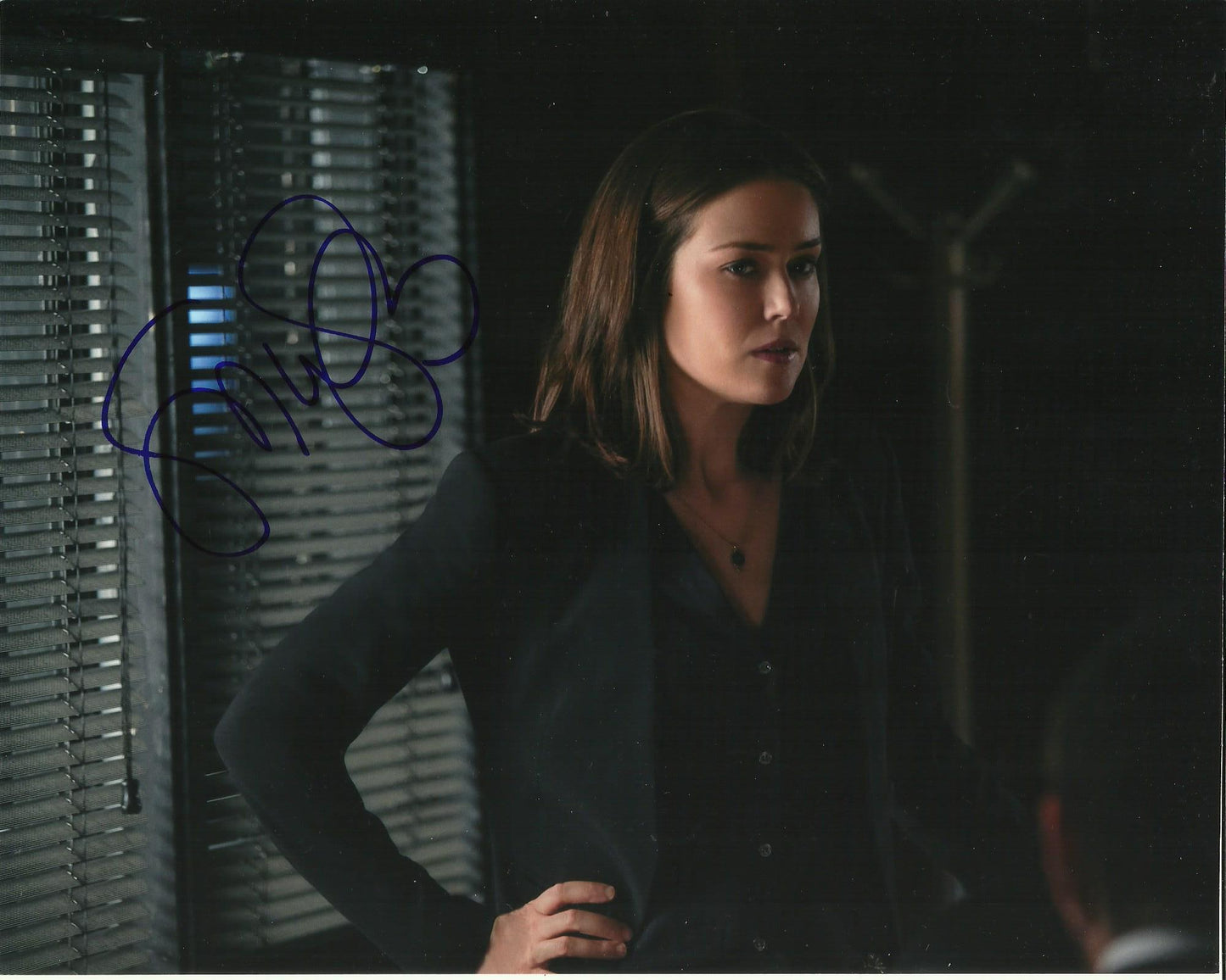 MEGAN BOONE SIGNED THE BLACKLIST 10X8 PHOTO (10)