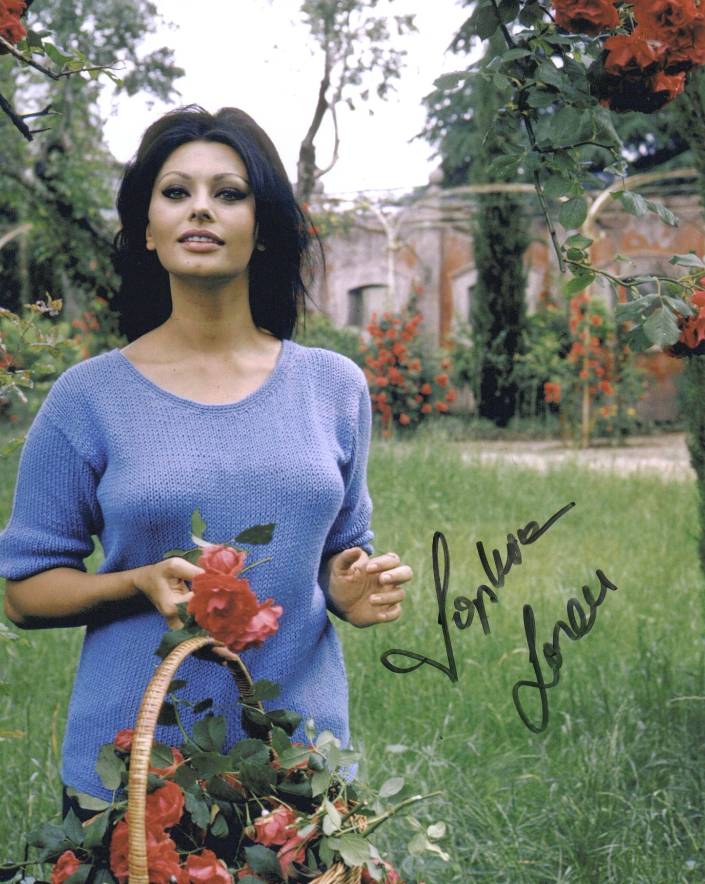 SOPHIA LOREN SIGNED SEXY 10X8 PHOTO (21)