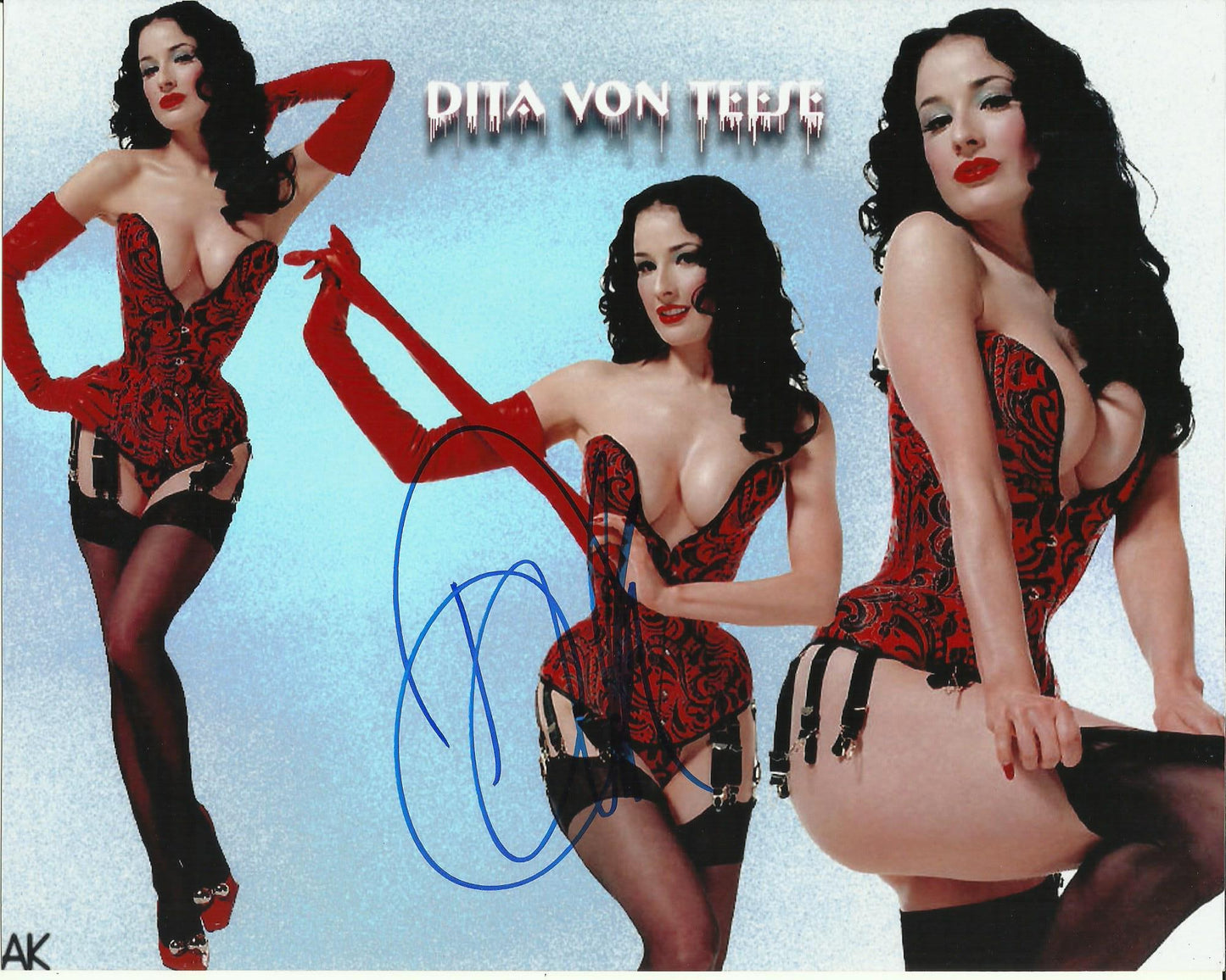 DITA VON TEESE SIGNED SEXY 10X8 PHOTO (2)