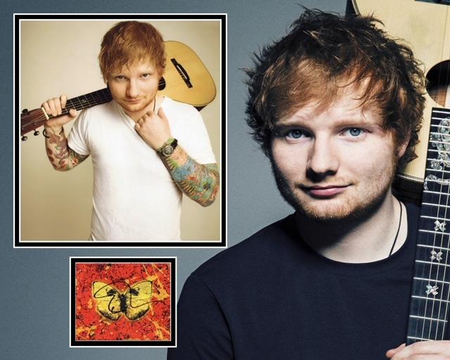 ED SHEERAN SIGNED COOL PHOTO MOUNT UACC REG 242 (1)