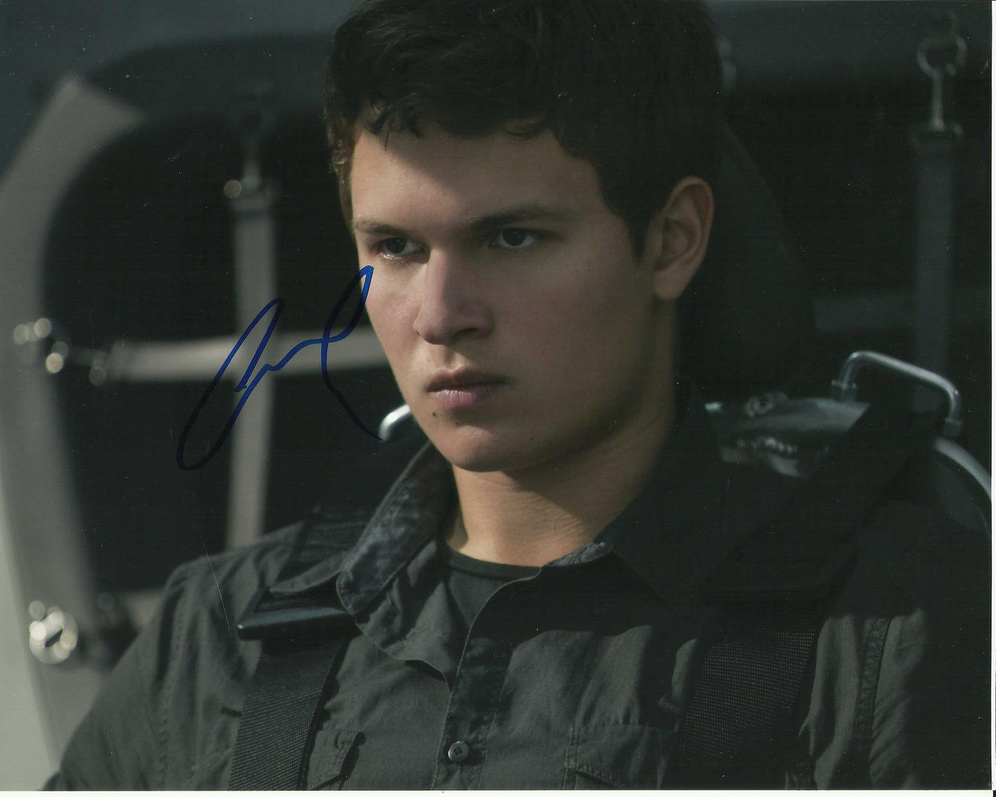 ANSEL ELGORT SIGNED ALLEGIANT 8X10 PHOTO