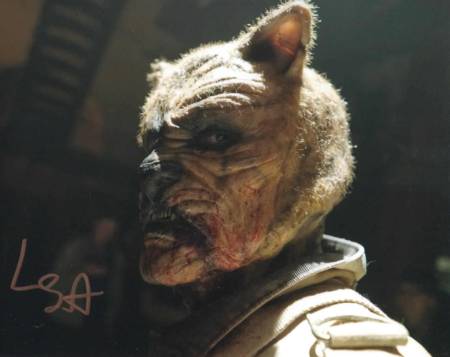 LEWIS SANTER SIGNED WINNIE THE POOH BLOOD AND HONEY 8X10 PHOTO (3)