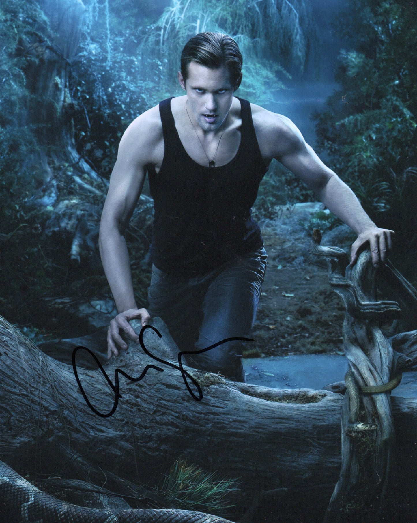 ALEXANDER SKARSGARD SIGNED TRUE BLOOD 8X10 PHOTO (18)