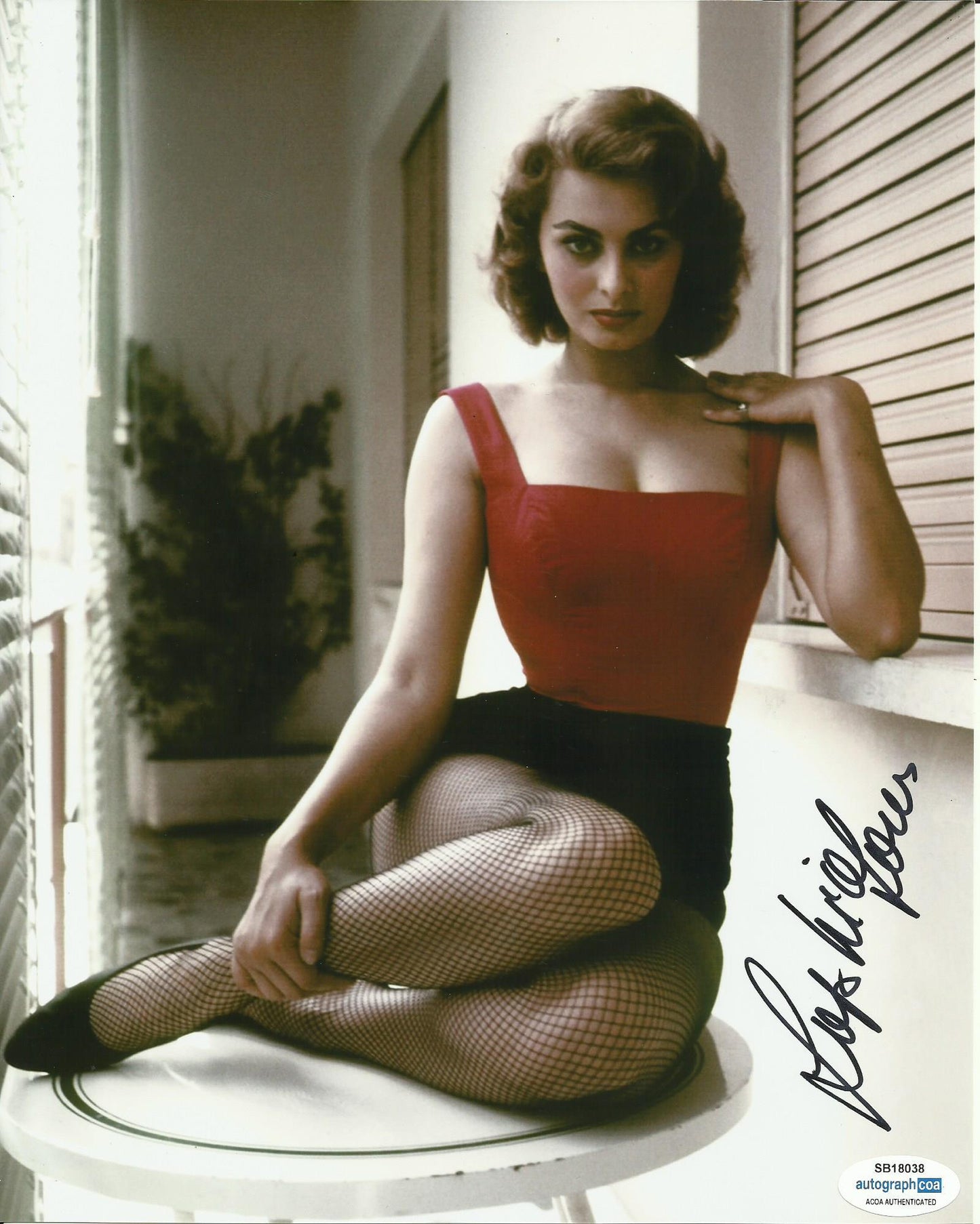 SOPHIA LOREN SIGNED SEXY 10X8 PHOTO (3) ALSO ACOA CERTIFIED
