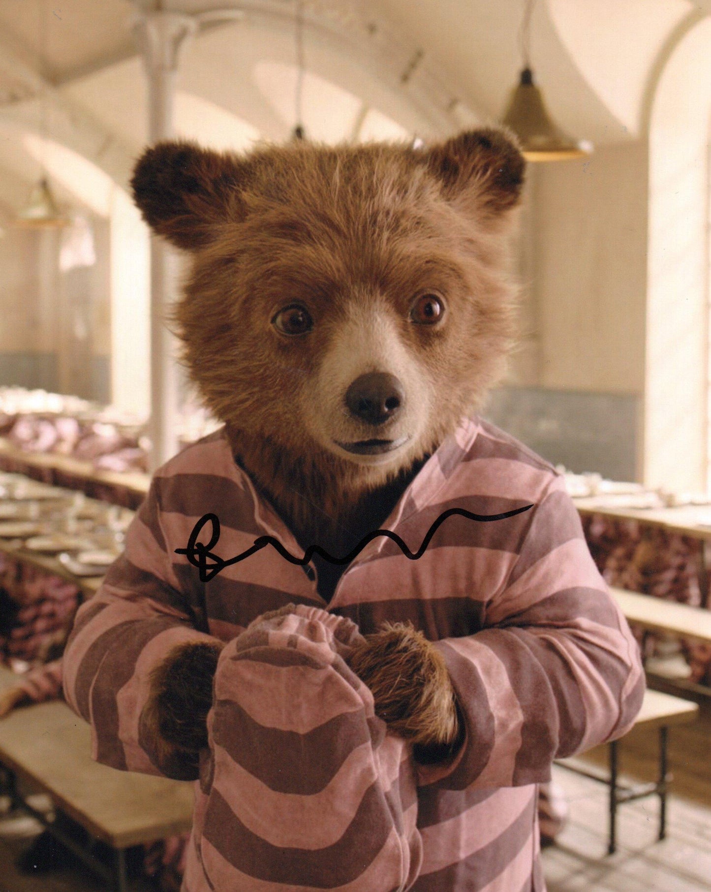 BEN WHISHAW SIGNED PADDINGTON 8X10 PHOTO (2)