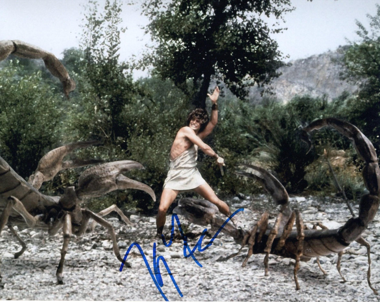 HARRY HAMLIN SIGNED CLASH OF THE TITANS 8X10 PHOTO (1)