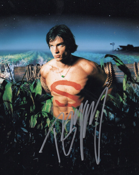 TOM WELLING SIGNED SMALLVILLE 8X10 PHOTO (3)