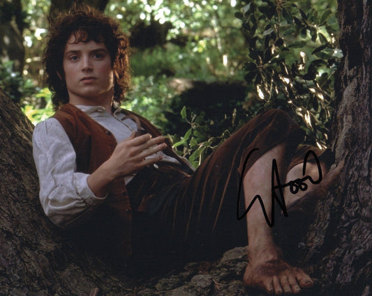 ELIJAH WOOD SIGNED LORD OF THE RINGS 8X10 PHOTO (8) VIDEO PROOF