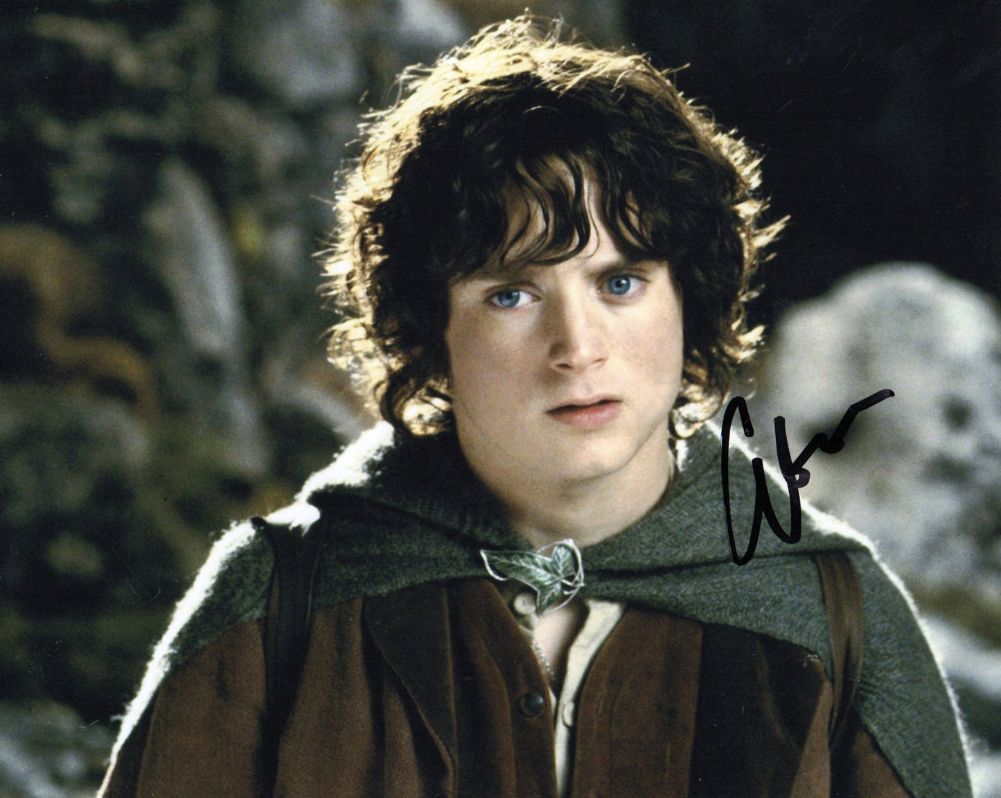 ELIJAH WOOD SIGNED LORD OF THE RINGS 8X10 PHOTO (14) VIDEO PROOF