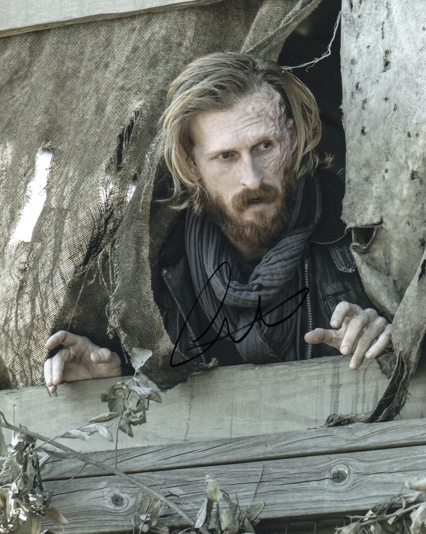 AUSTIN AMELIO SIGNED FEAR / THE WALKING DEAD 8X10 PHOTO (16)