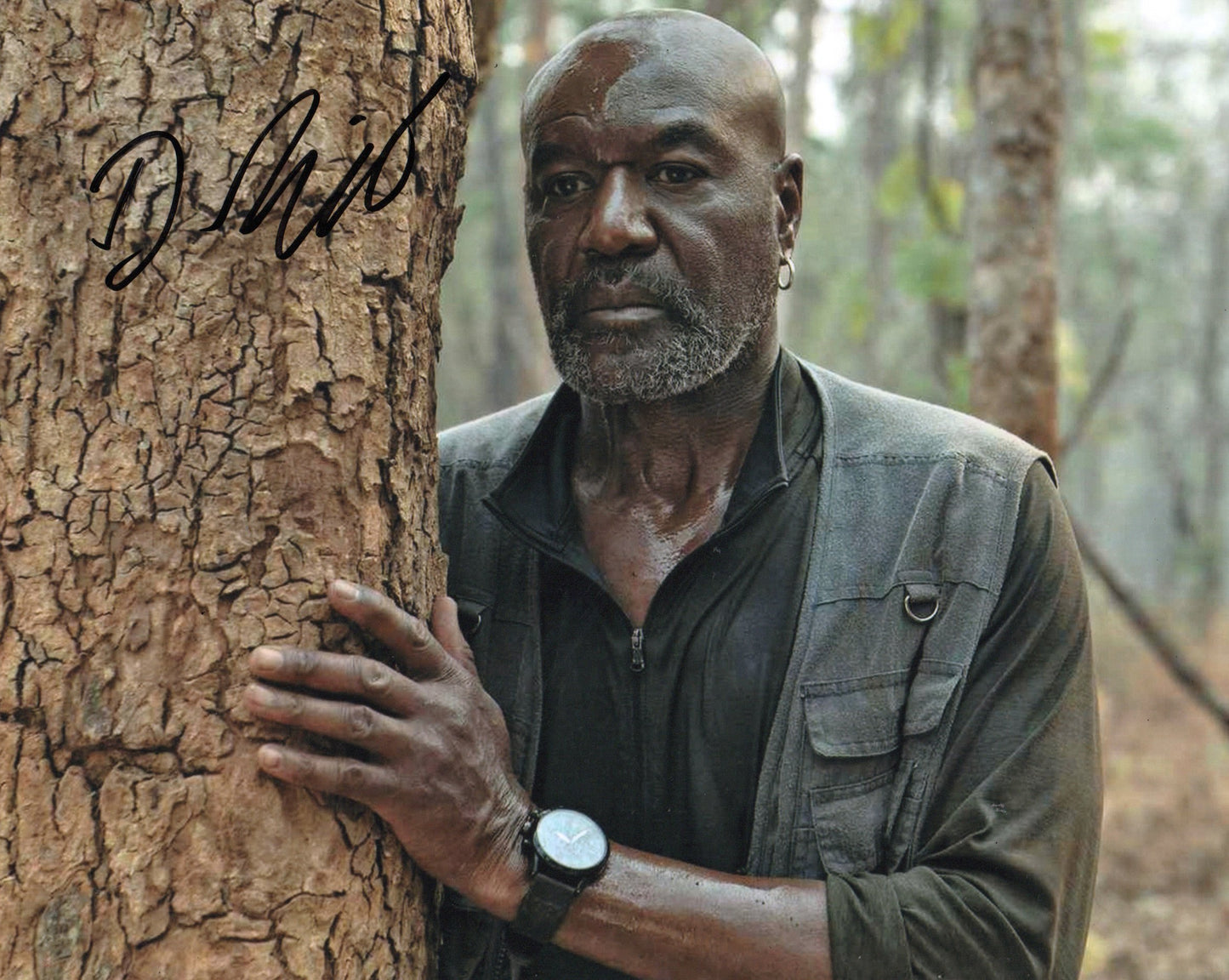 DELROY LINDO SIGNED DA 5 BLOODS 8X10 PHOTO video proof
