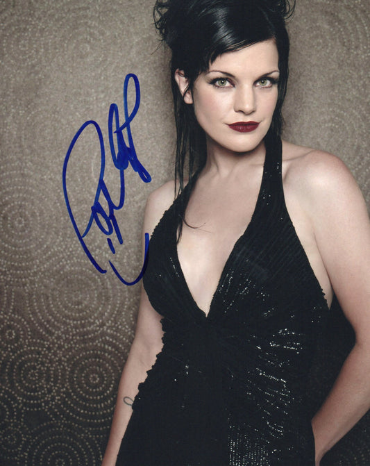 PAULEY PERRETTE SIGNED SEXY 10X8 PHOTO (5)