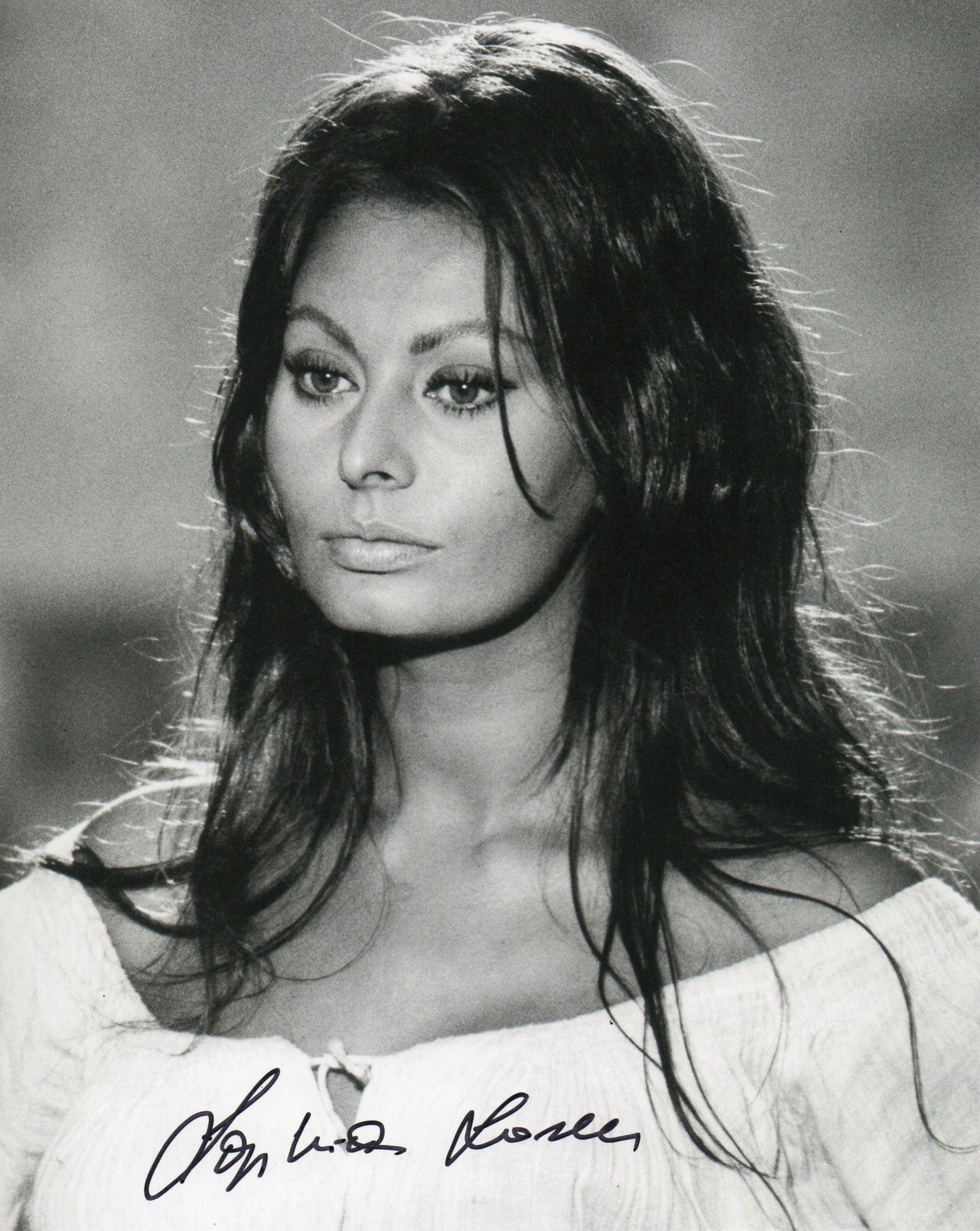 SOPHIA LOREN SIGNED SEXY 10X8 PHOTO (28)
